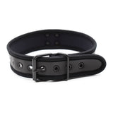 Collar - Dog Collar D Ring Neoprene Puppy Collar (4 color options)