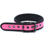 Collar - Dog Collar D Ring Neoprene Puppy Collar (4 color options)
