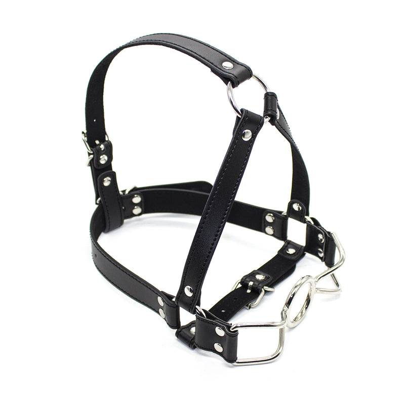 Ball Gag - Spider Gag Face Harness Trainer