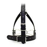 Ball Gag - Spider Gag Face Harness Trainer