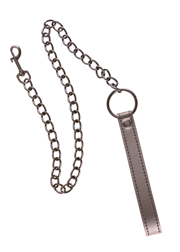Leash for your pet - fetish - BDSM play