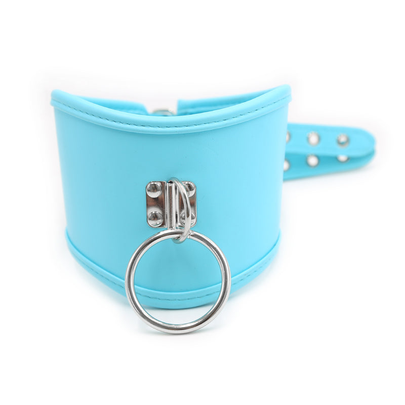 Collar - Posture Collar PVC (3 color options)