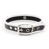 Collar - PVC Slave Collar with Piping and D Ring (3 color) Heavy Duty