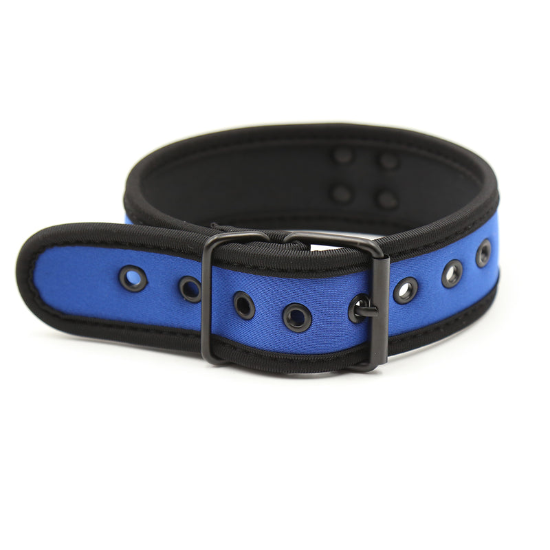 Collar - Dog Collar D Ring Neoprene Puppy Collar (4 color options)