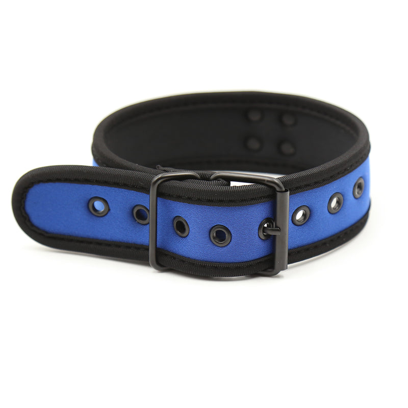 Collar - Dog Collar D Ring Neoprene Puppy Collar (4 colors)