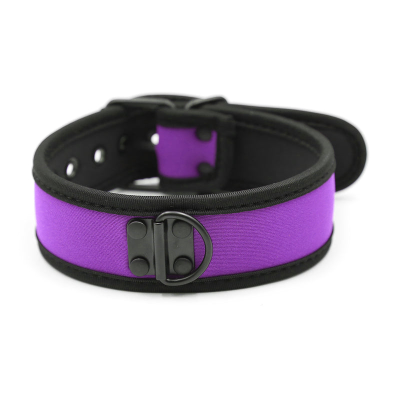 Collar - Dog Collar D Ring Neoprene Puppy Collar (4 color options)