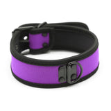 Collar - Dog Collar D Ring Neoprene Puppy Collar (4 color options)