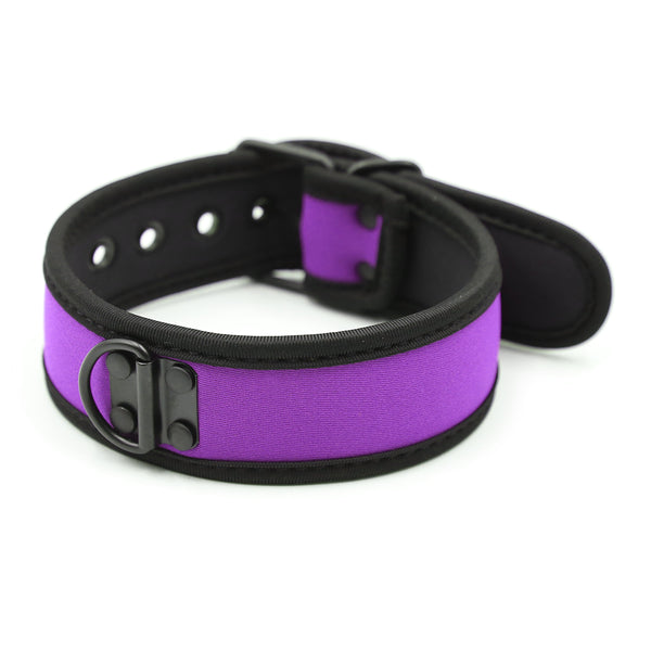 Collar - Dog Collar D Ring Neoprene Puppy Collar (4 color options)