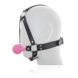 Pink Ball Gag with head harness - The Love Zone