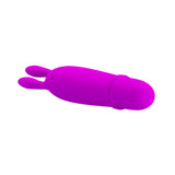 Vibrator - Clit Style Boyce Rabbit 10 Function - Pocket Rocket Massager