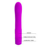 Vibrator - 12 Function Rechargeable Alston with Handle -Fuchsia