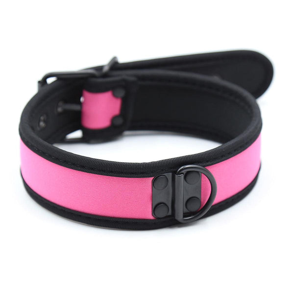 Collar - Dog Collar Pink D Ring Neoprene Collar Black-Collars-The Love Zone