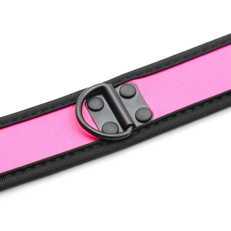 Collar - Dog Collar D Ring Neoprene Puppy Collar (4 color options)