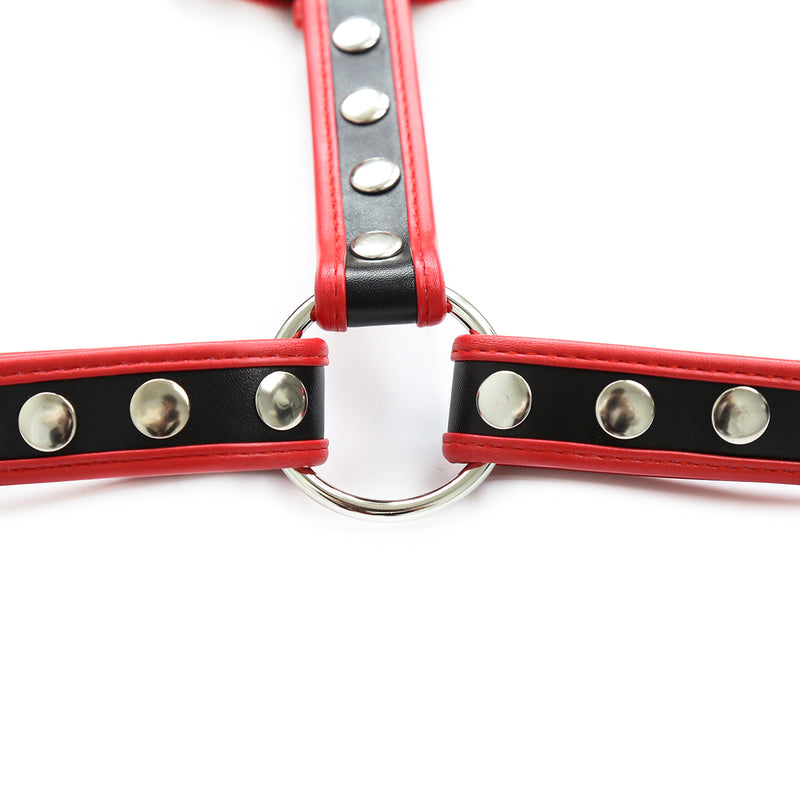 Chest Harness - Deluxe English Bulldog Harness