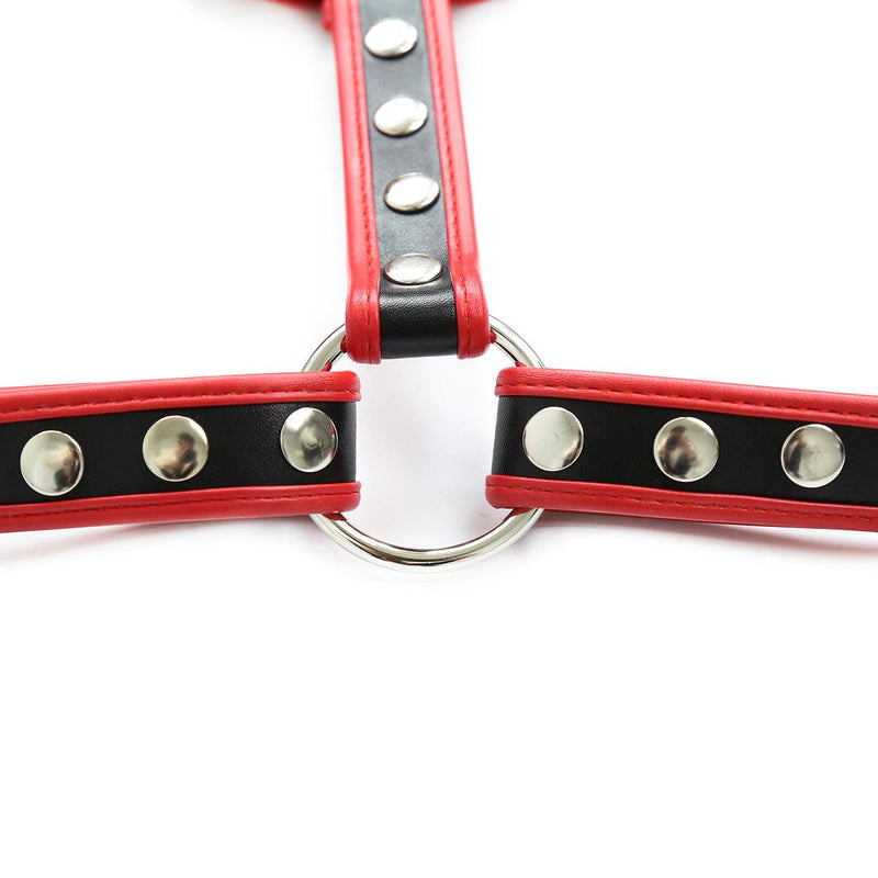 Chest Harness - Deluxe English Bulldog Harness-Fetish Wear-The Love Zone