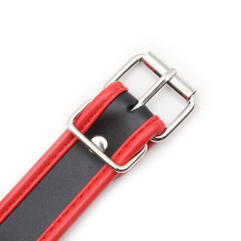 Collar - PVC Slave Collar with Piping and D Ring (3 color) Heavy Duty