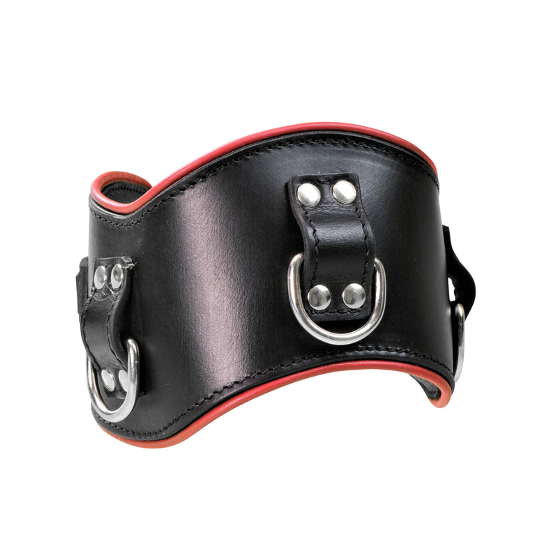 Collar - Posture Collar 3" Heavy Duty Leather Padded - Black with Red Piping-FET-The Love Zone