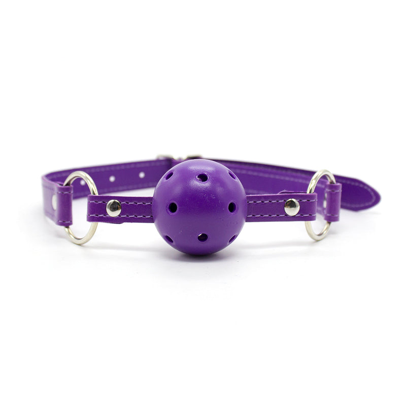 11 Piece Purple Bondage Kit / Set – DDLG World