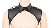 Deluxe Neoprene Harness